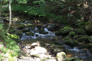 Mont-Mégantic National Park