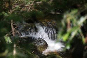 Mont-Mégantic National Park