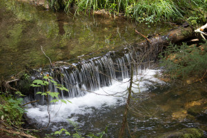 Mont-Mégantic National Park