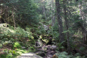 Mont-Mégantic National Park